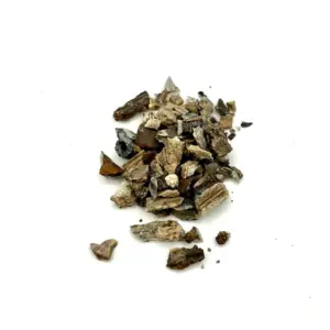 Fossiized Real Mammoth Tooth Fragments 2