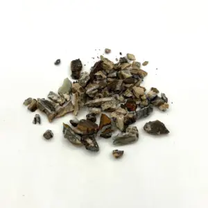 Fossiized Real Mammoth Tooth Fragments