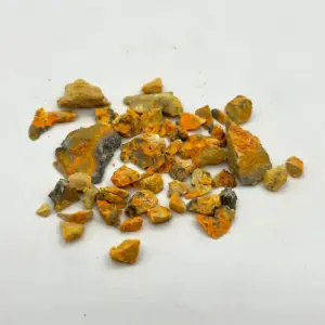 Jasper 2